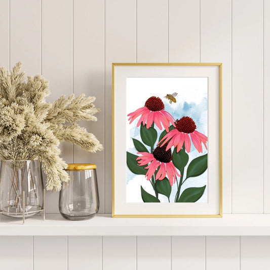 Summer Petals - Coneflower